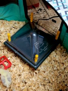 the Heat plate we use in the brooder