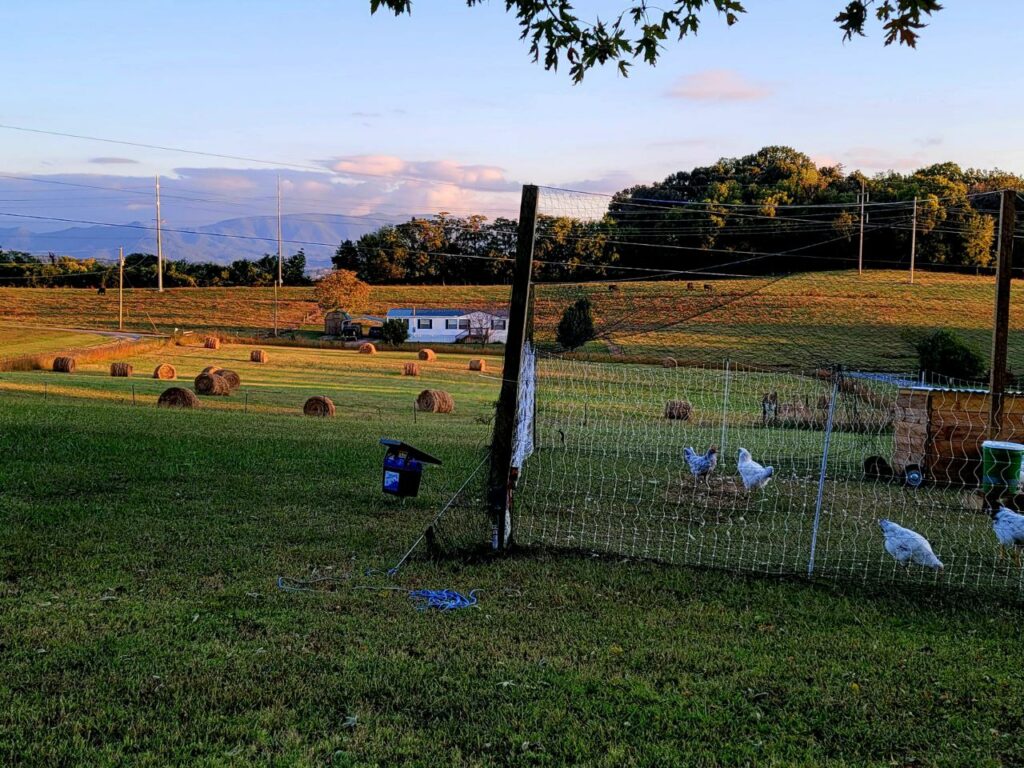 Image of our property showing the meat bird set up as described in the article